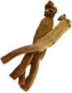 RED GINSENG IMAGE